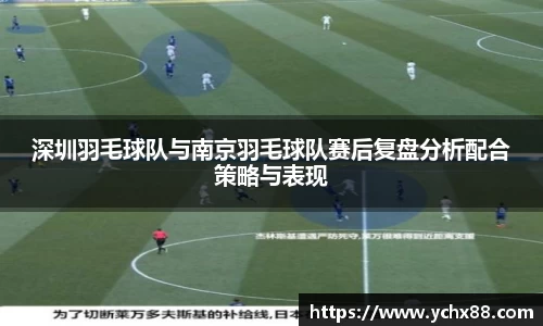 深圳羽毛球队与南京羽毛球队赛后复盘分析配合策略与表现